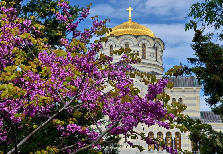 Крым. Севастополь. Весна