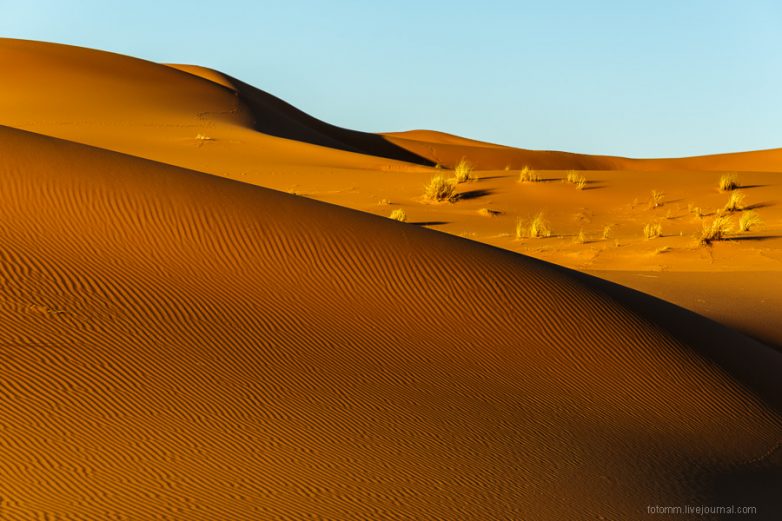 Завораживающие снимки Сахары