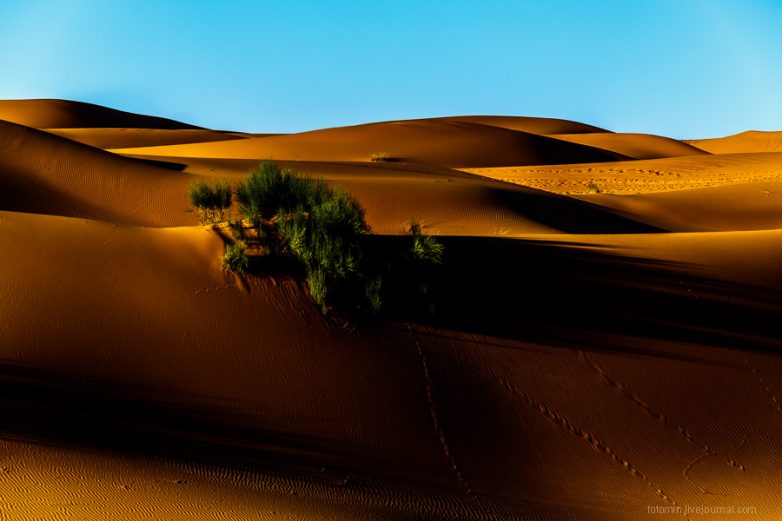 Завораживающие снимки Сахары