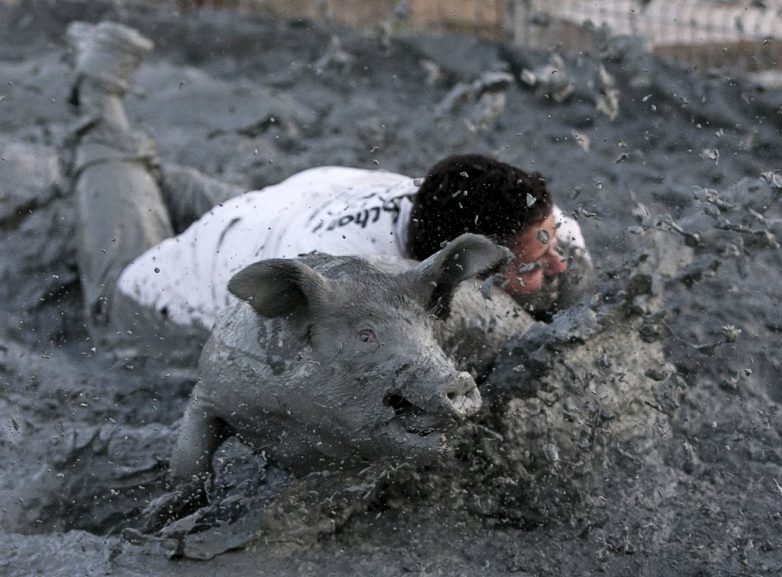 Традиционный свинский фестиваль в Квебеке