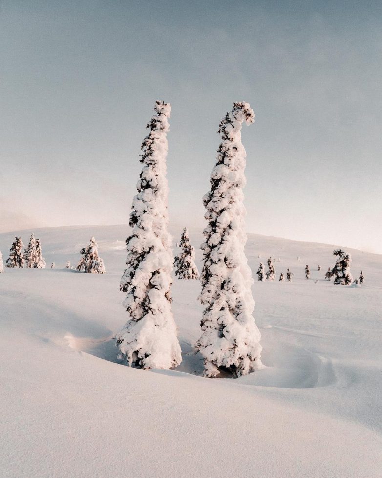В преддверии зимы: атмосферные осенне-зимние снимки природы Анны-Элины Лахти