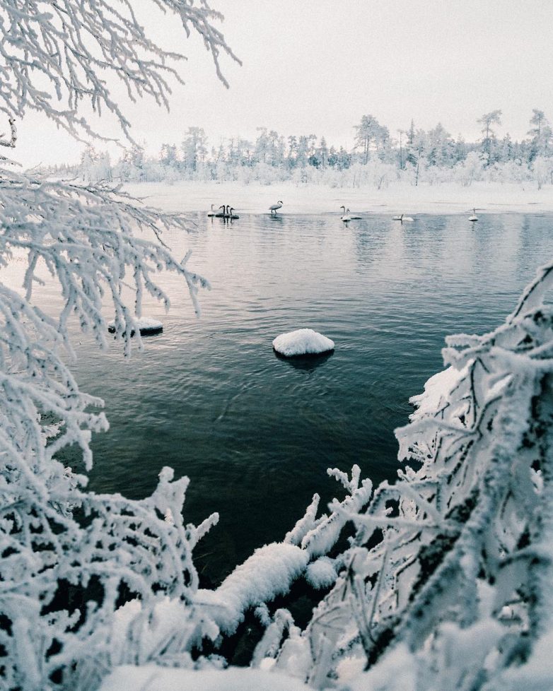 В преддверии зимы: атмосферные осенне-зимние снимки природы Анны-Элины Лахти