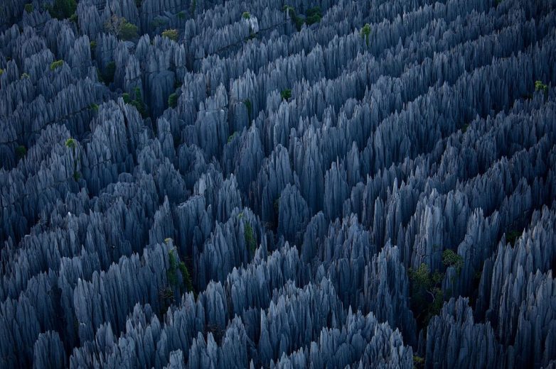 Цинжи-дю-Бемараха: каменный лес Мадагаскара