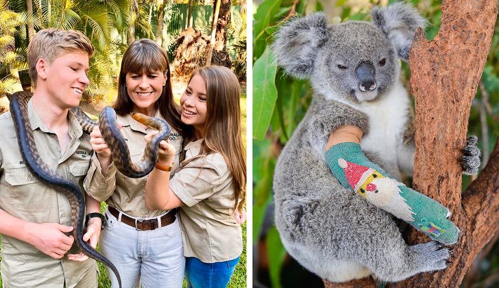 Боже, храни Австралию: как спасают животных на Зелёном континенте