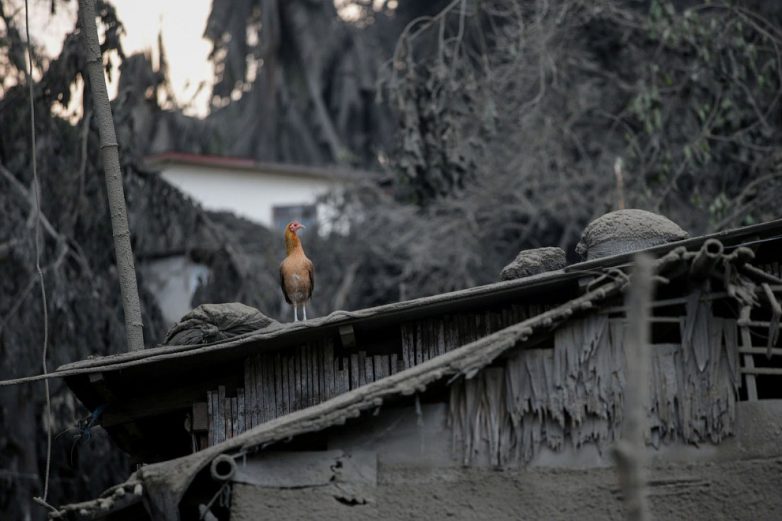 Постапокалипсис: мрачные Филиппины, присыпанные вулканическим пеплом