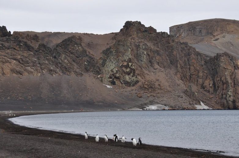 Мрачное очарование вулканического острова Десепшен: из записок путешественника