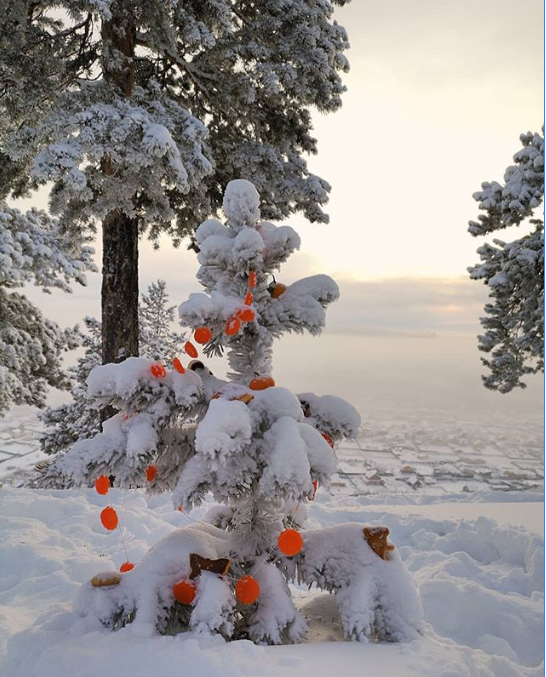 Это Якутия, детка! 11 сочных снимков о суровой сибирской зиме