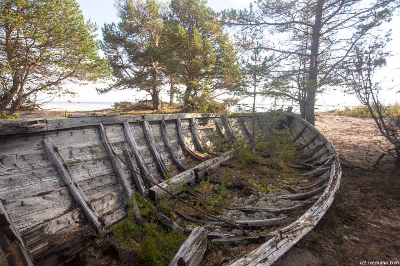 Из первых уст: Белое море, кладбище карбасов