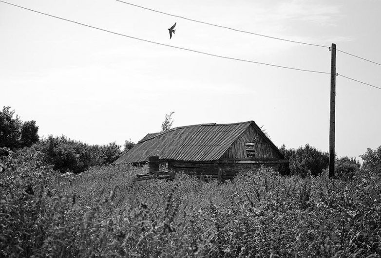 Забытая российская деревня на атмосферных снимках Павла Капустина