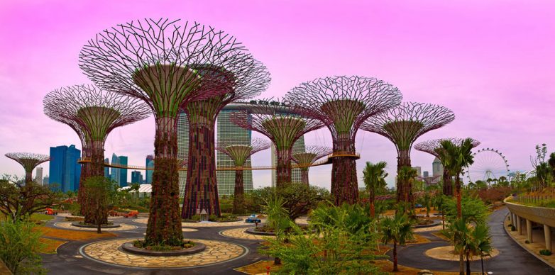 Футуристические прибрежные сады Сингапура