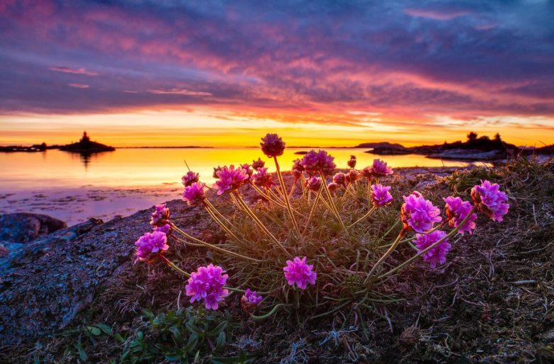 Очарование севера: норвежская природа на снимках Оле Моена