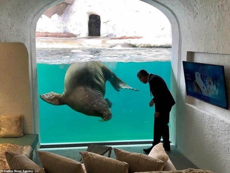 В Бельгии открылся уникальный отель, через окна которого можно наблюдать за дикими животными