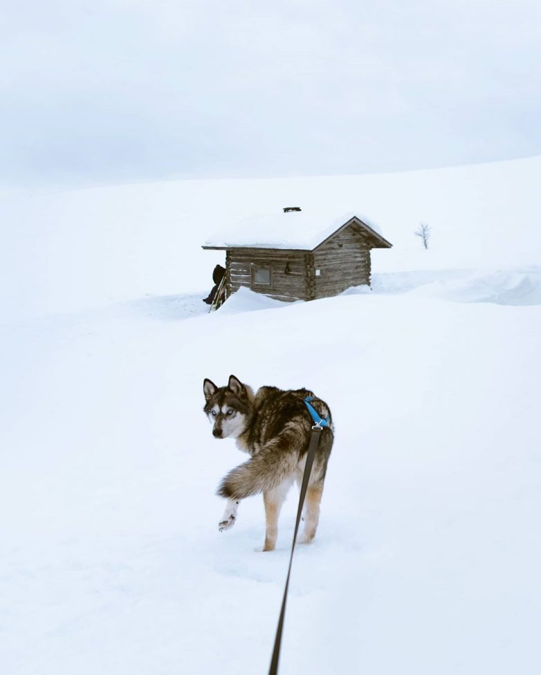Очарование Севера: чудесная Лапландия на фото