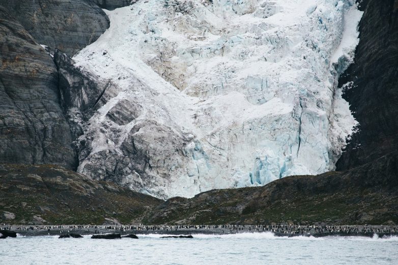 Арктика и Антарктика на удивительных снимках Джона Бозинова