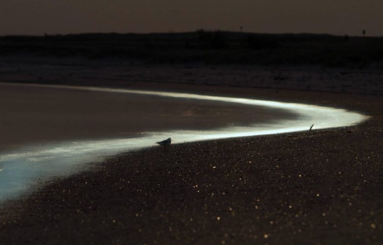 10 волшебных заливов планеты, которые преображаются ночью