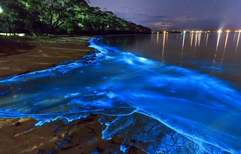 10 волшебных заливов планеты, которые преображаются ночью