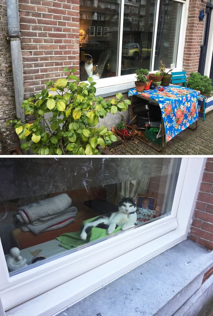 Не только тюльпаны и велосипеды: фотознакомство с Амстердамом