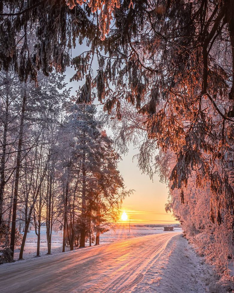Финляндия зимой: в гостях у сказки