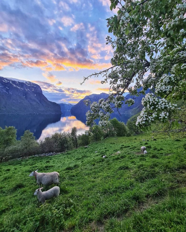 Оле Моен — фотограф-путешественник, влюблённый в Норвегию