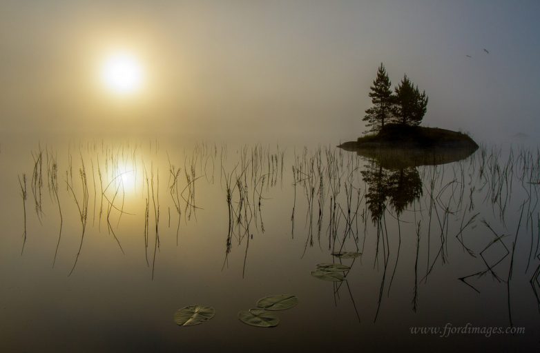 Оле Моен — фотограф-путешественник, влюблённый в Норвегию