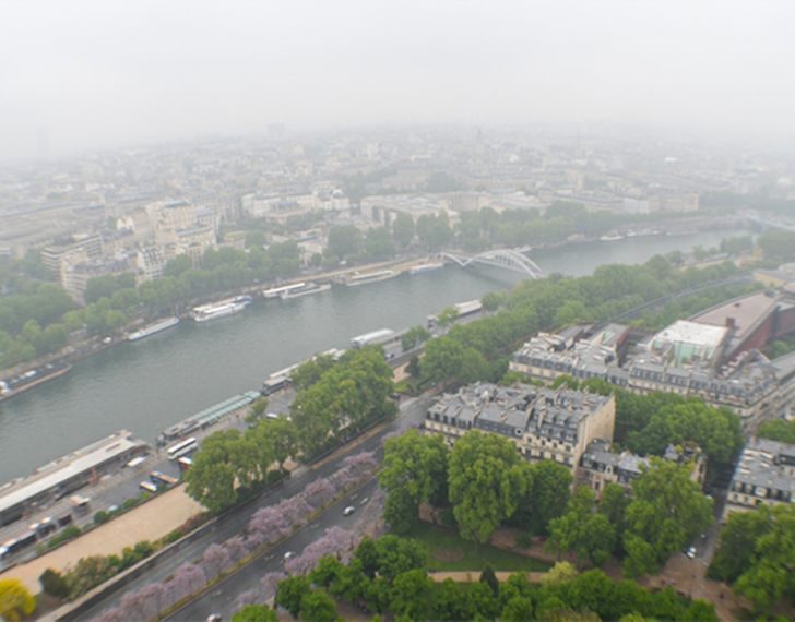 Еда на высоте: ресторан 58 Tour Eiffel — одна из культовых достопримечательностей Парижа