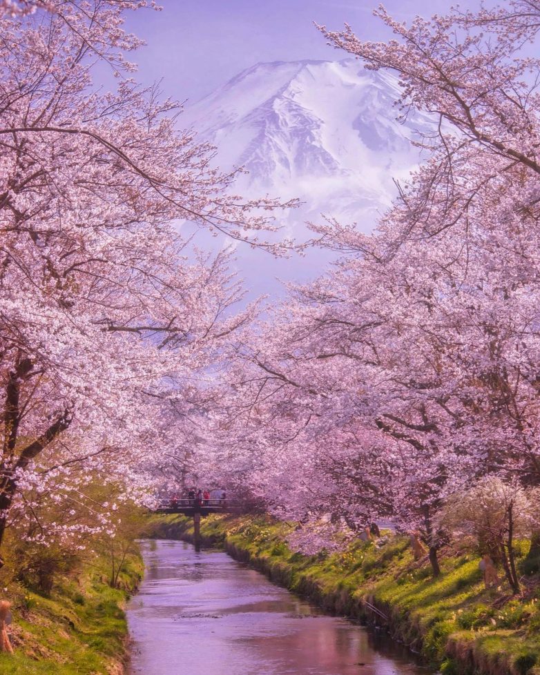 Волшебная японская природа на снимках Макико Самедзимы