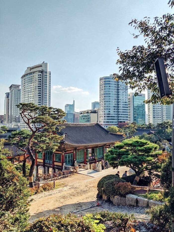 16 увлекательных фактов о Южной Корее, которая поражает и удивляет
