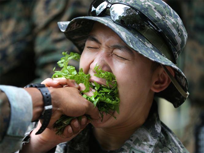 Сухпай: что едят вояки в армиях разных стран