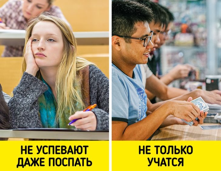 Особенности высшего образования в разных странах, которые удивят русского студента