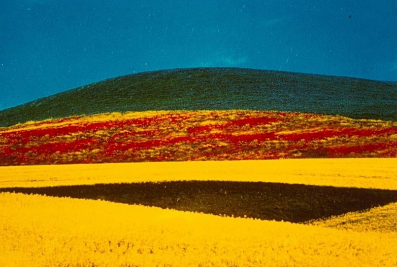 «Геометричные» пейзажи Франко Фонтаны, снятые в разных уголках планеты