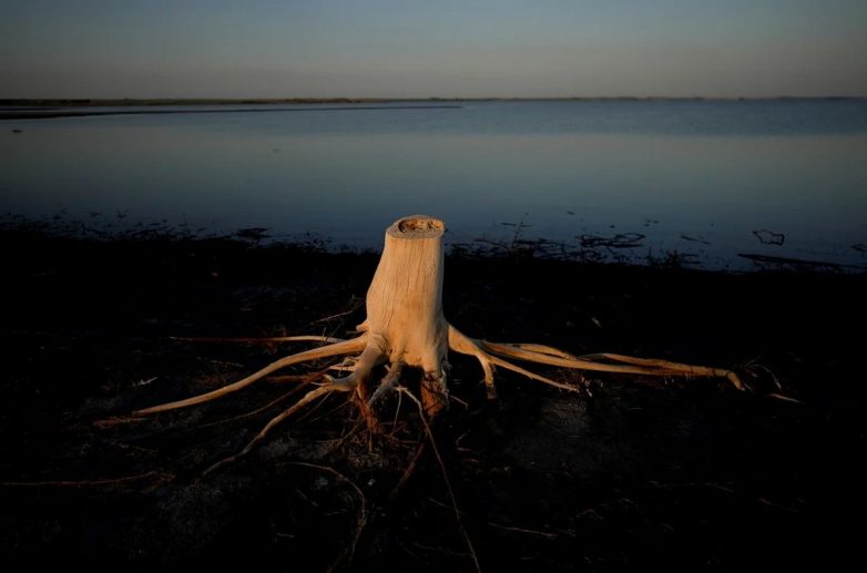 Аргентинская деревушка Вилья-Эпекуэн, смытая озером, стала туристической достопримечательностью