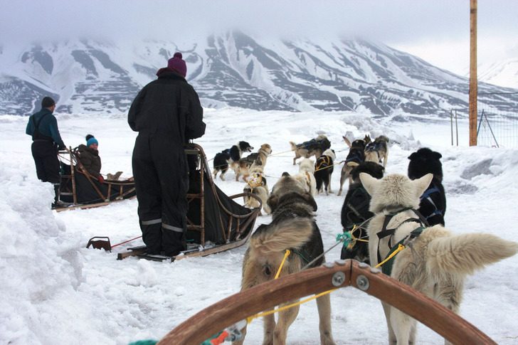 Яркие фотоштрихи из жизни в Гренландии, которую вы точно полюбите всем сердцем!