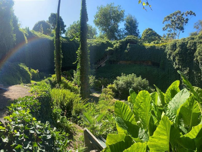 Чудесный австралийский сад в карстовой воронке