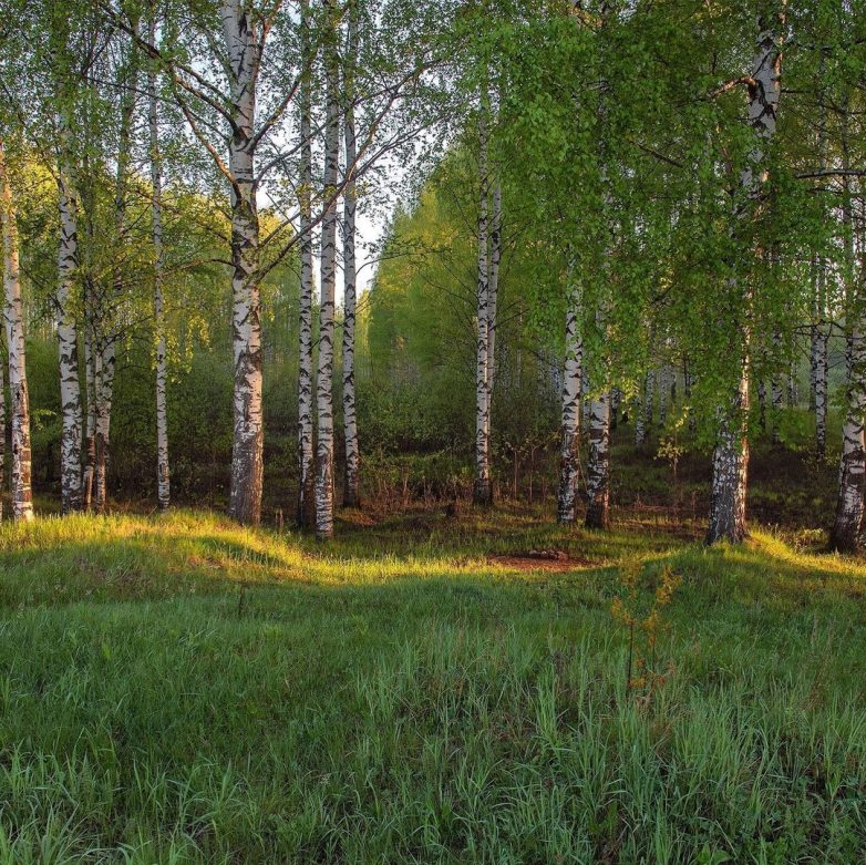 Пейзажи Кировской земли