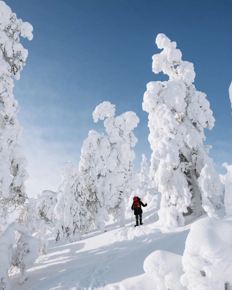 Финские пейзажи как особый вид искусства