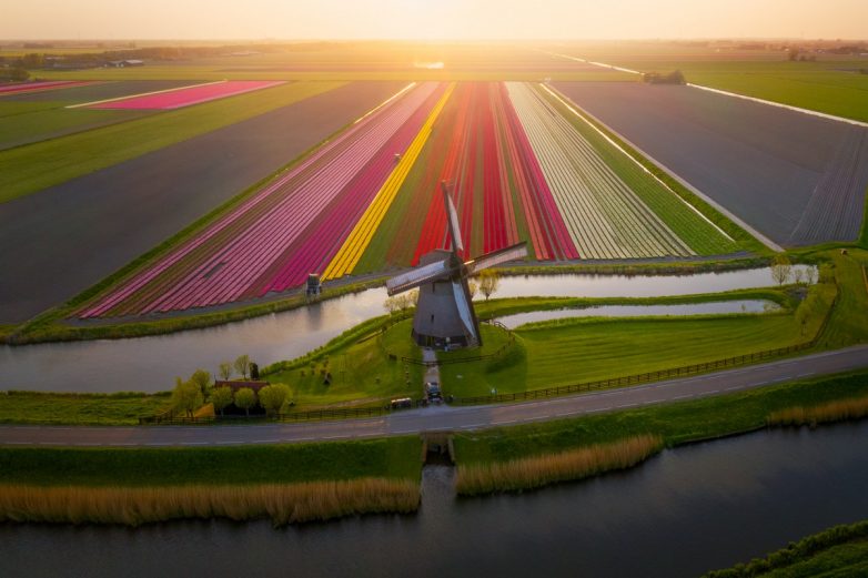 Фотокрасота из Нидерландов