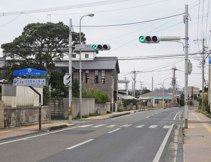 Такое могло случиться только в Японии: 9 потрясных историй