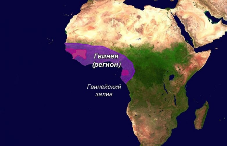Почему в мире существует целых четыре Гвинеи?