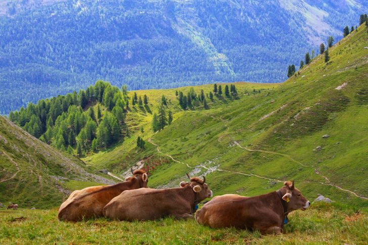 28 фотографий и 1 гифка, которые расскажут о Швейцарии лучше всяких путеводителей