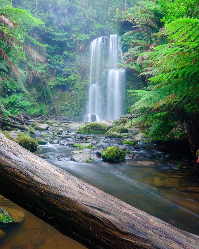 Красивый водопад в австралийском лесу