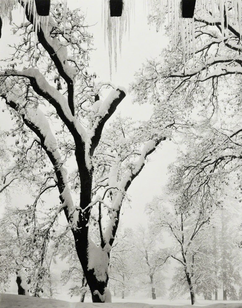 Атмосферные чёрно-белые снимки из путешествий Энсела Адамса