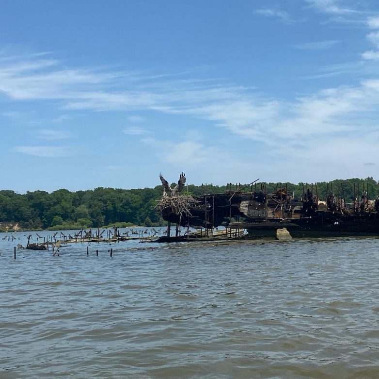 Парк затонувших кораблей в Мэриленде