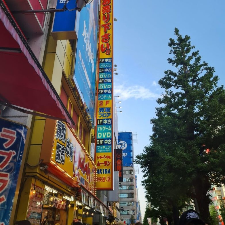 Непостижимый Токио: 16 причуд японской столицы