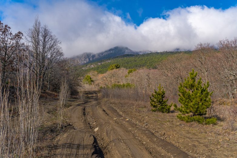 Красота в горах Крыма