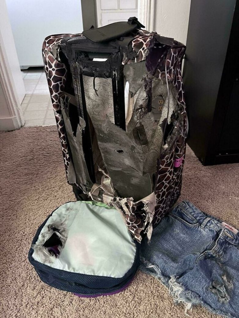 Неприятности с багажом