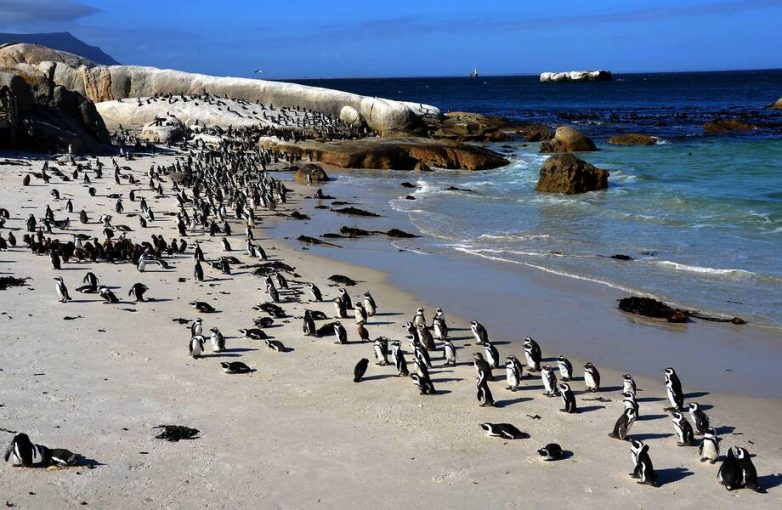 Самые красивые пляжи мира