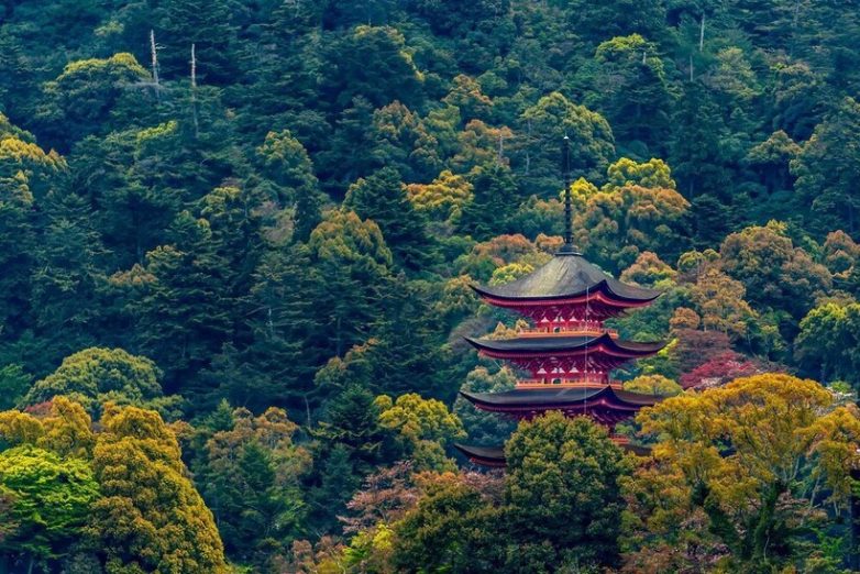 14 чудесных снимков из путешествия по стране контрастов