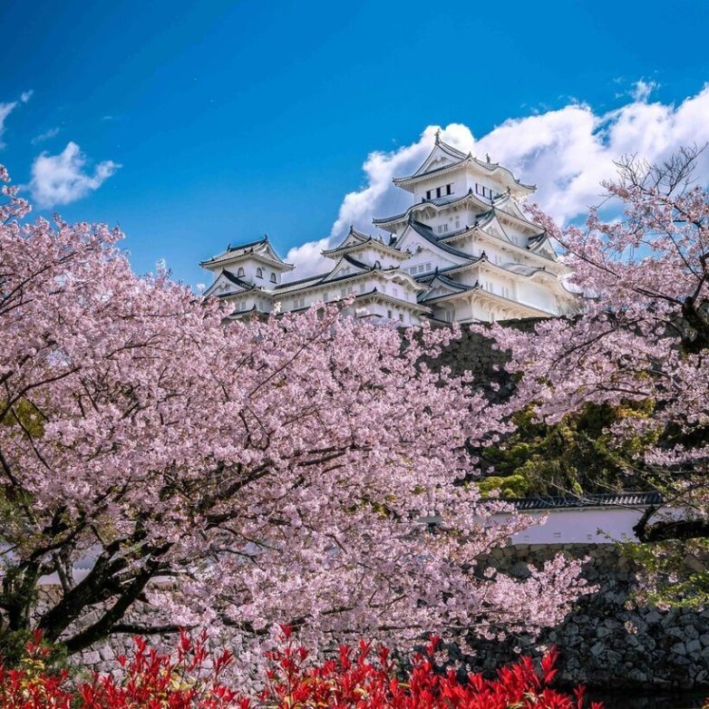 14 чудесных снимков из путешествия по стране контрастов