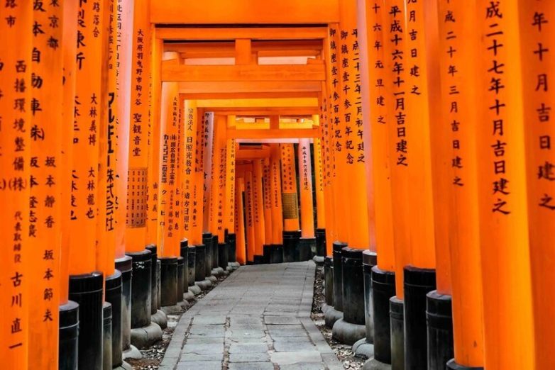 14 чудесных снимков из путешествия по стране контрастов