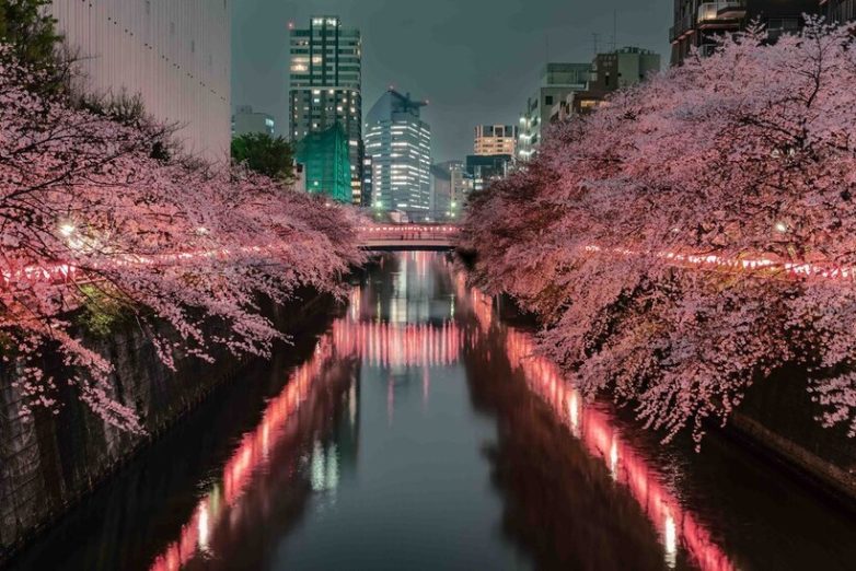 14 чудесных снимков из путешествия по стране контрастов